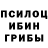 Галлюциногенные грибы MAGIC MUSHROOMS Andrew Mirilenko