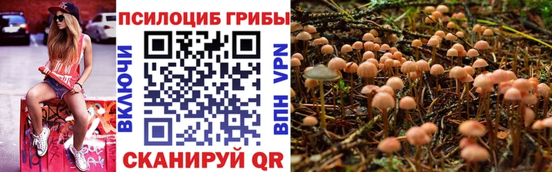 Галлюциногенные грибы мицелий  купить наркотик  Среднеколымск 